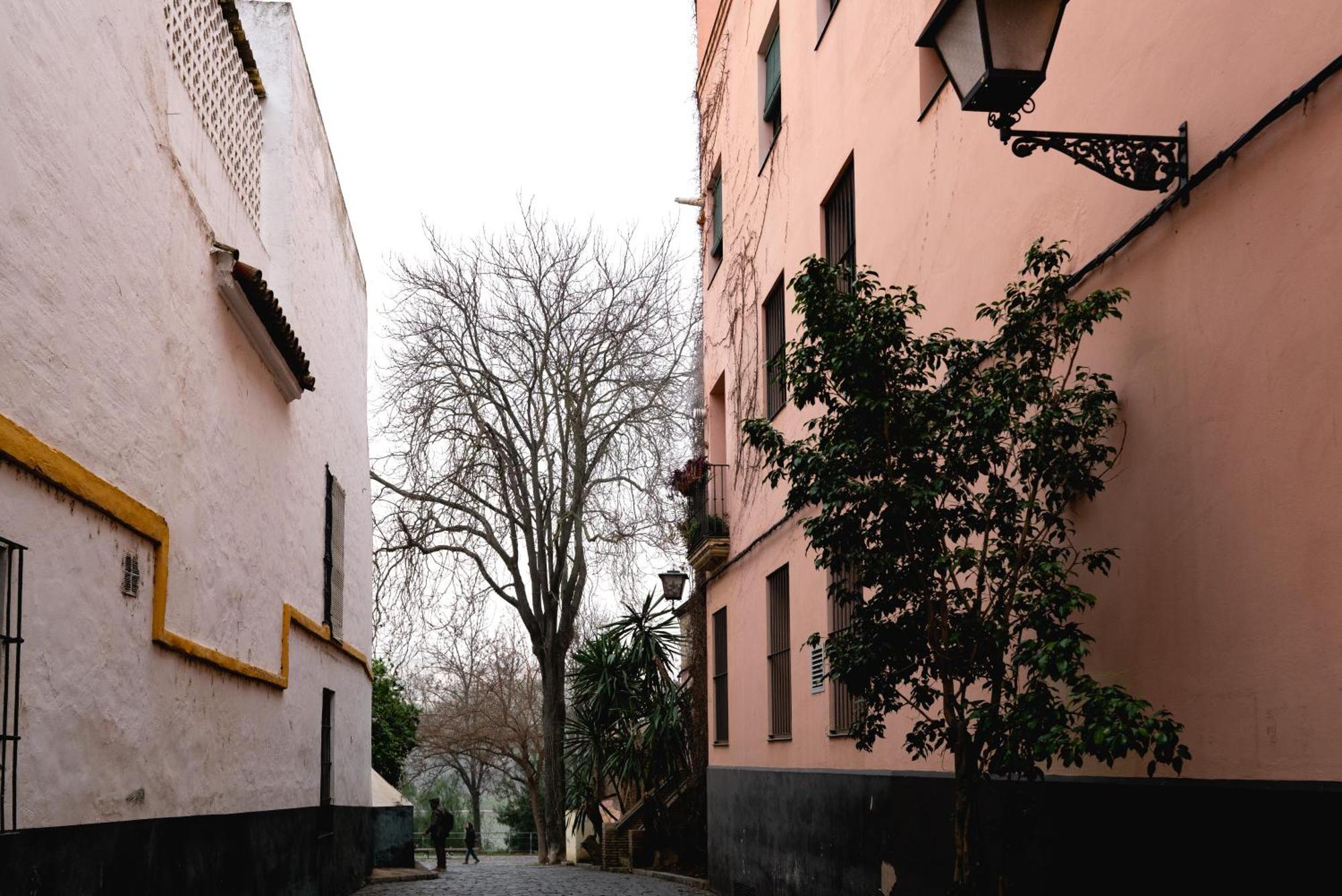 Apartamento Castilla 61 Seville Exterior photo